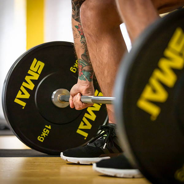 Bumper Plates Explained