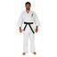 Martial arts