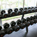 The gym features two rows of SMAI's Commercial Dumbbell Set with Rack, ranging from 5-60kg, neatly arranged in front of large windows. Natural light streams into the room, and the view of lush greenery outside enhances the ambiance of this well-equipped space.