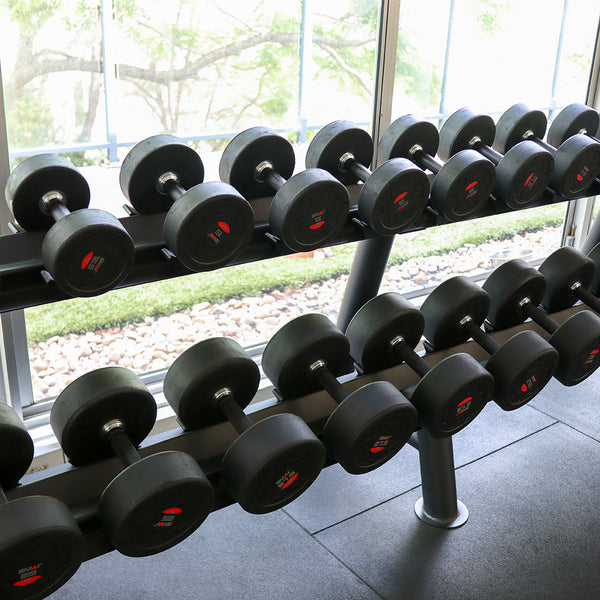 The gym features two rows of SMAI's Commercial Dumbbell Set with Rack, ranging from 5-60kg, neatly arranged in front of large windows. Natural light streams into the room, and the view of lush greenery outside enhances the ambiance of this well-equipped space.