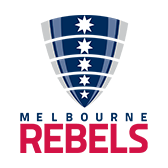 A logo featuring a blue shield with five white stars vertically aligned. Beneath the shield, the word "USA" in bold blue letters and "BASEBALL" in red letters.