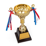 SMAI Trophy Cup Small Side down view