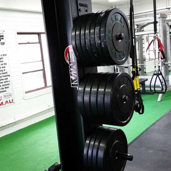 Bumper Plate Storage - Wall Mounted in Dragons Gym