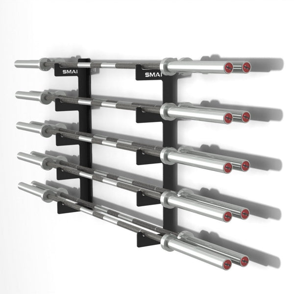 10 barbell gun rack on wall