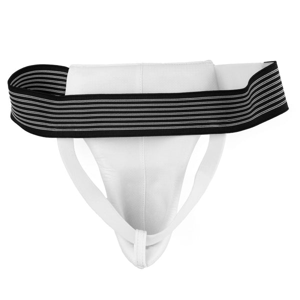 Taekwondo Male Groin Guard Back View