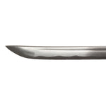 Katana - Medium Carbon Black Tip